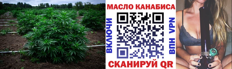 Купить закладки  Ессентукская  ТГК Wax 