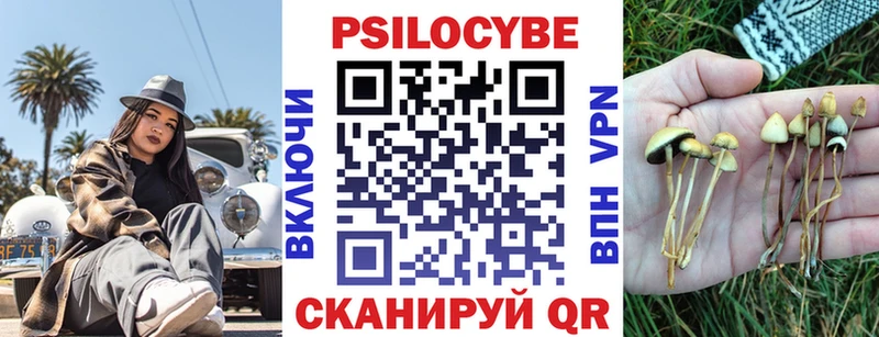 Купить  Ессентукская  Галлюциногенные грибы мухоморы 